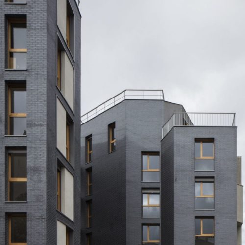 Logements - Ivry / Bach Nguyen Architecture / Staffordshire Blue Ketley